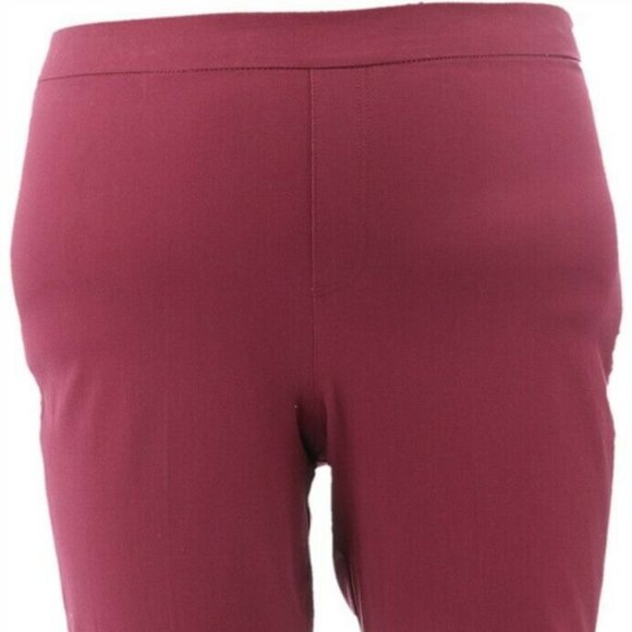 NWT ISAAC MIZRAHI STRETCH‎ LACE TRIM PANTS  20T - Picture 5 of 13